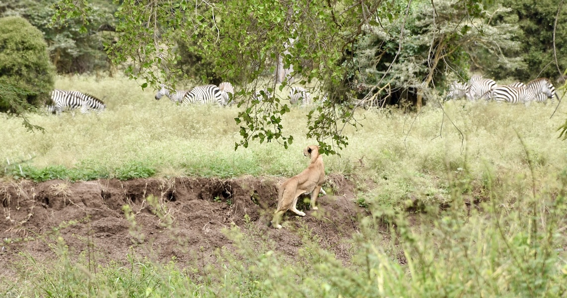 Kenya