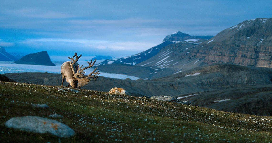 Svalbard